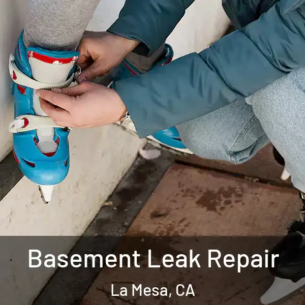  Basement Leak Repair La Mesa, CA