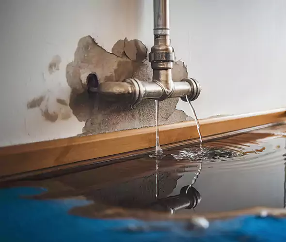 Professional Water Damage Restoration Experts in La Mesa, CA — Fast, Reliable & Certified