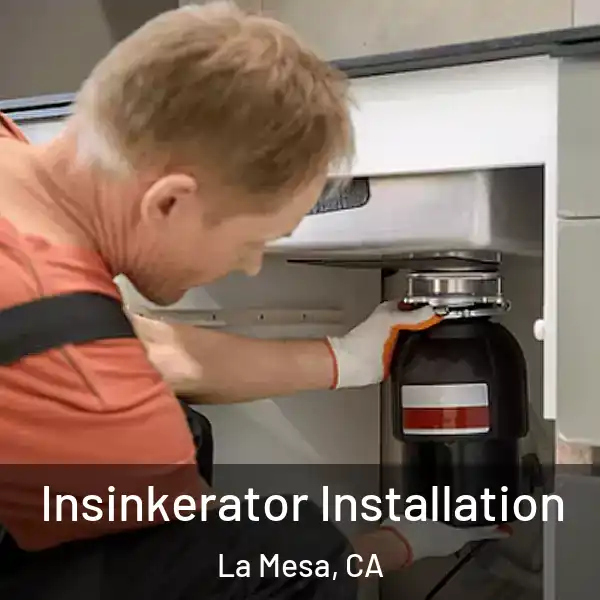  Insinkerator Installation La Mesa, CA