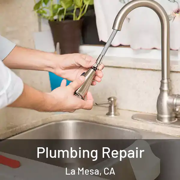  Plumbing Repair La Mesa, CA