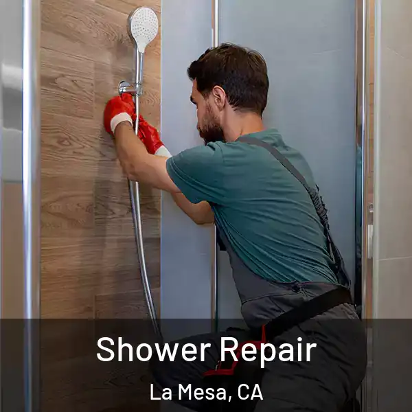 Shower Repair La Mesa, CA